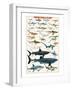 Dangerous Sharks-null-Framed Art Print