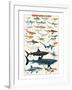 Dangerous Sharks-null-Framed Art Print