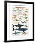 Dangerous Sharks-null-Framed Art Print