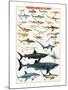 Dangerous Sharks-null-Mounted Art Print