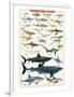 Dangerous Sharks-null-Framed Art Print