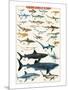 Dangerous Sharks-null-Mounted Art Print