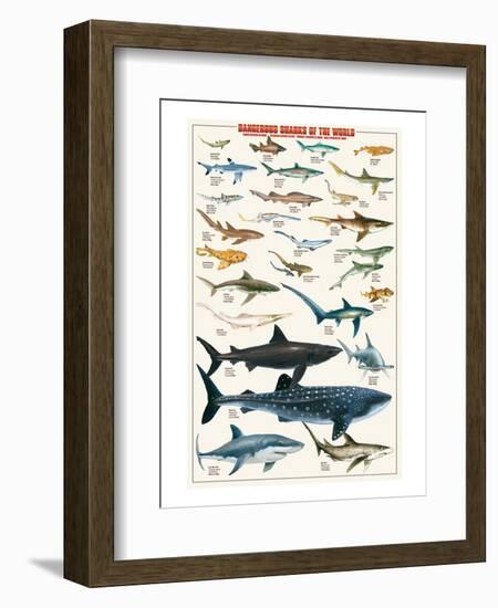 Dangerous Sharks-null-Framed Art Print