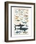 Dangerous Sharks-null-Framed Art Print