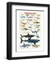 Dangerous Sharks-null-Framed Art Print