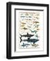 Dangerous Sharks-null-Framed Art Print