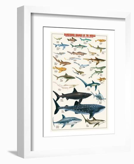 Dangerous Sharks-null-Framed Art Print