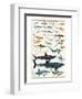 Dangerous Sharks-null-Framed Art Print