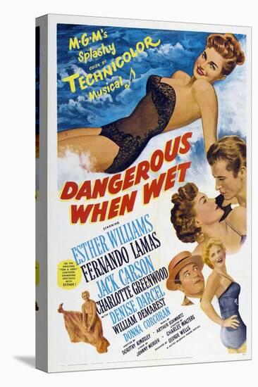 Dangerous When Wet, 1953, Directed by Charles Walters-null-Stretched Canvas