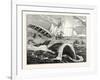 Dangers of the Whale Fishery-null-Framed Giclee Print