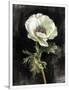 Gramercy White