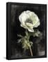 Essential Black