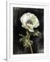 Gramercy White