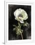 Gramercy White
