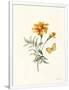 Gramercy White