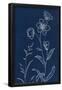 Essential Black
