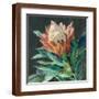 Brown Frame