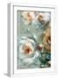 White Frame