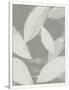 Gramercy White