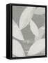 Framed Canvas
