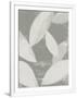 Gramercy White