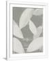 Gramercy White
