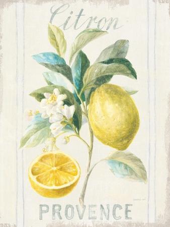 Vintage Lemon Art