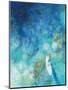 Wood Mount