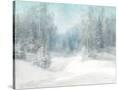 Stretched Canvas