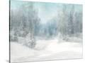 Stretched Canvas