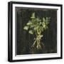 Black Frame