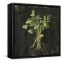 Canvas Black