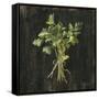 Canvas Black