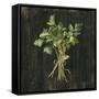 Canvas Black