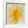 Gramercy White
