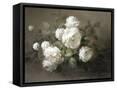 Canvas Black