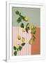 Gramercy White