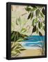 Essential Black