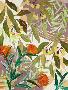 Just the Print