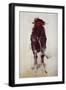 Black Frame