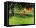 Canvas Black