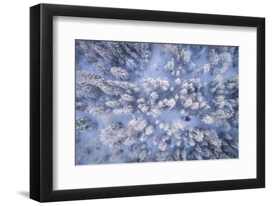 Premium Photographic Print, , large