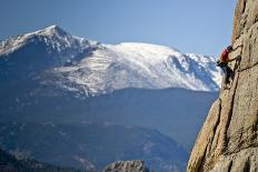 Three Young Sheep on Mt Evans, Colorado Playing in the Snow-Daniel Gambino-Photographic Print