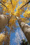 Climbers on Pequena Alpamaya in the Cordillera Real, Bolivia-Daniel Gambino-Photographic Print