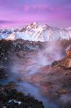 Pink Eastern Sierra-Daniel Gastager-Photographic Print