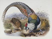 A Monograph of the Phasianidae or Family of Pheasants, 1872-Daniel Giraud Elliot-Framed Stretched Canvas