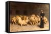 Daniel in the Lions' Den, 1872-Briton Rivi?re-Framed Stretched Canvas