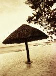 Palapa Umbrella on the Beach, Cancun, Mexico-Daniel J. Cox-Stretched Canvas