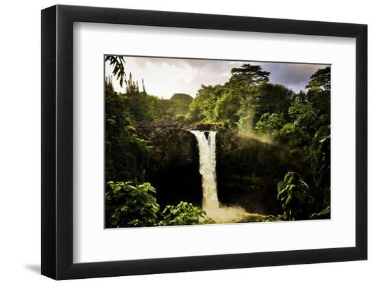 Premium Photographic Print, , large