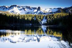 Shining Light In Sequoia National Park-Daniel Kuras-Photographic Print